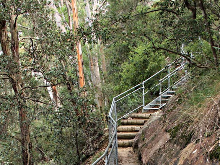 Staircase on Caleys lookout track. Photo: John Yurasek