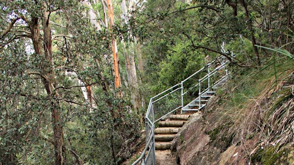 Caleys Lookout Track