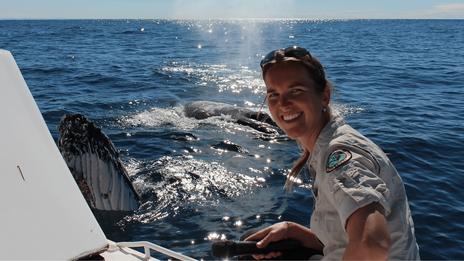 Expert Commentary from Tangalooma Eco Rangers