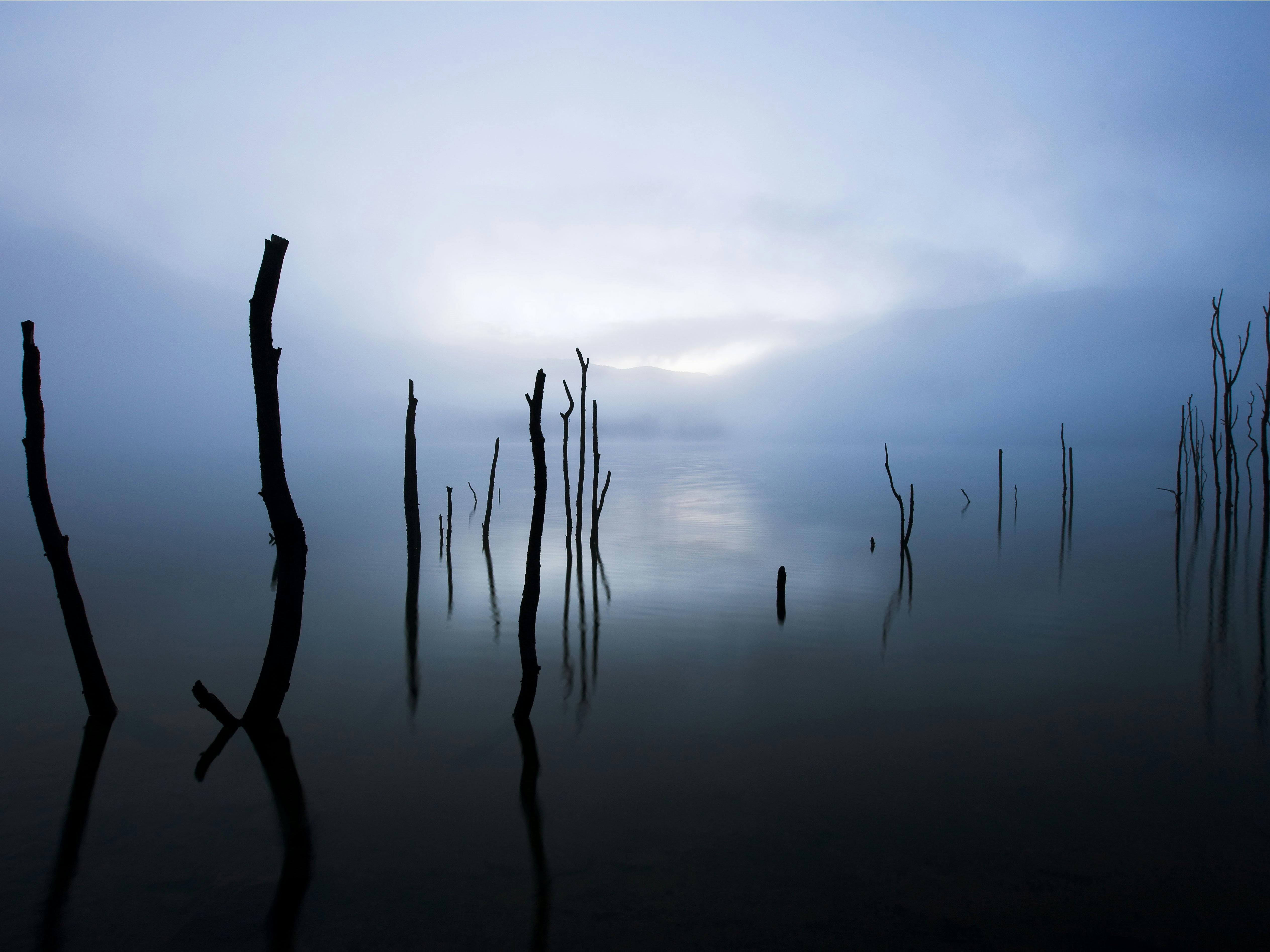Jounama Creek Walking Track
