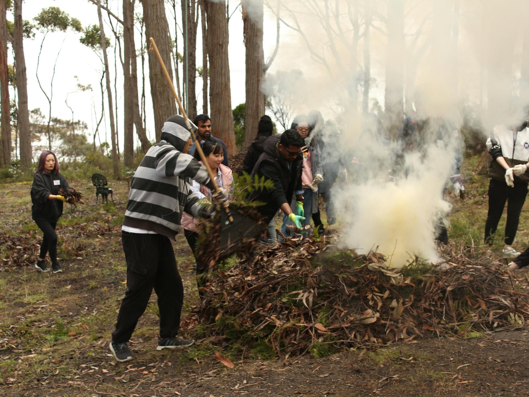 Bushfire Management