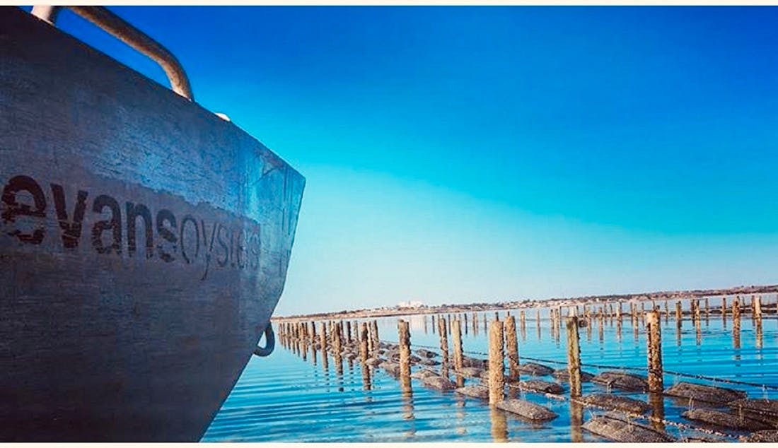 Evans Oysters Pty Ltd Streaky Bay, Food and Drink Eyre Peninsula