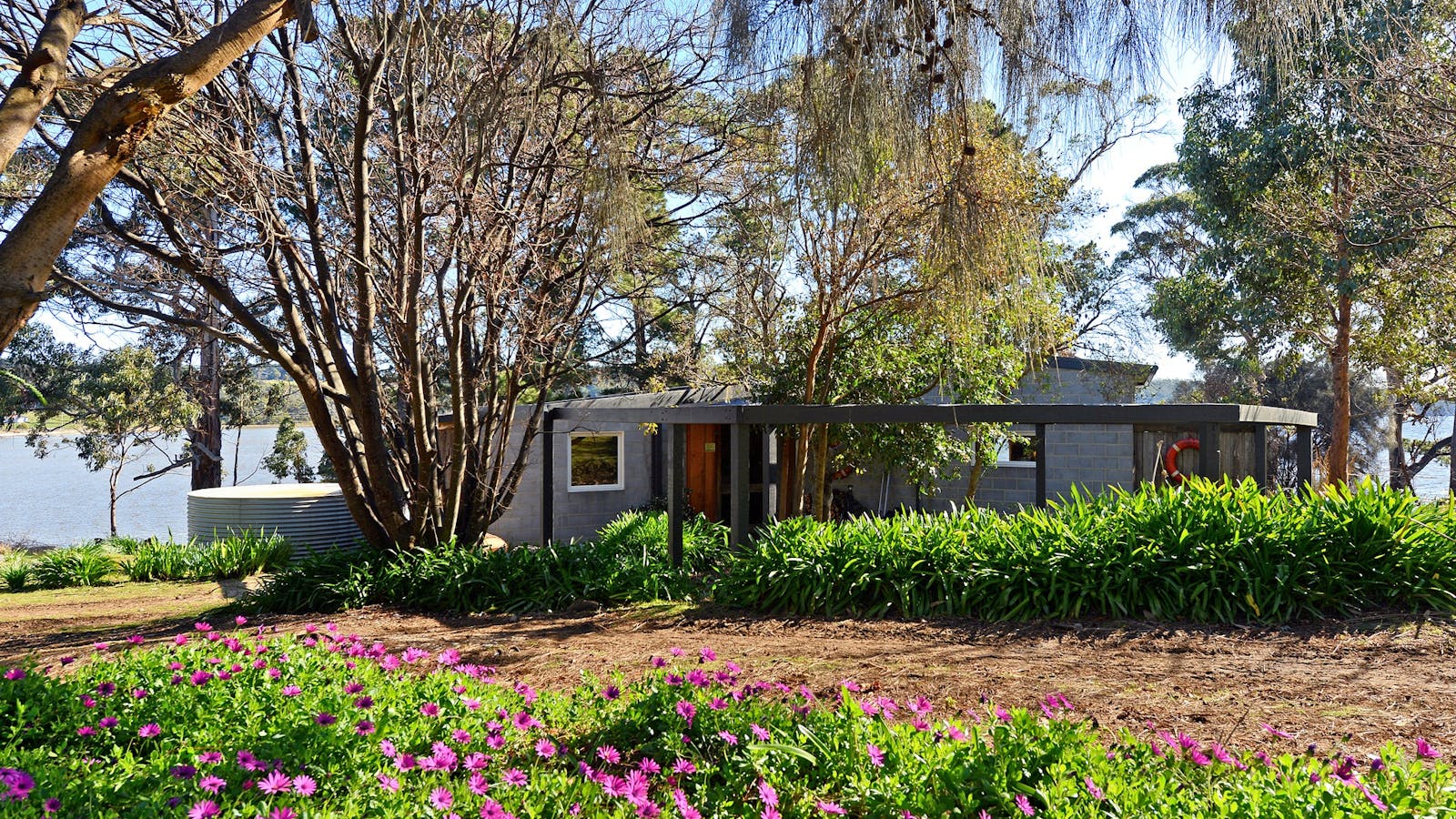 Taylors Bay Cottage: view over flowers towards the cottage and bay.