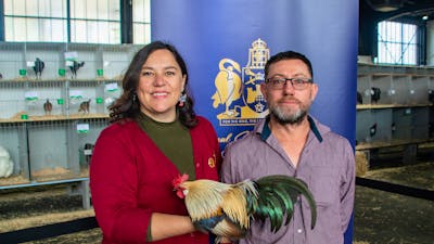 Winners of the Royal Canberra Poultry Show