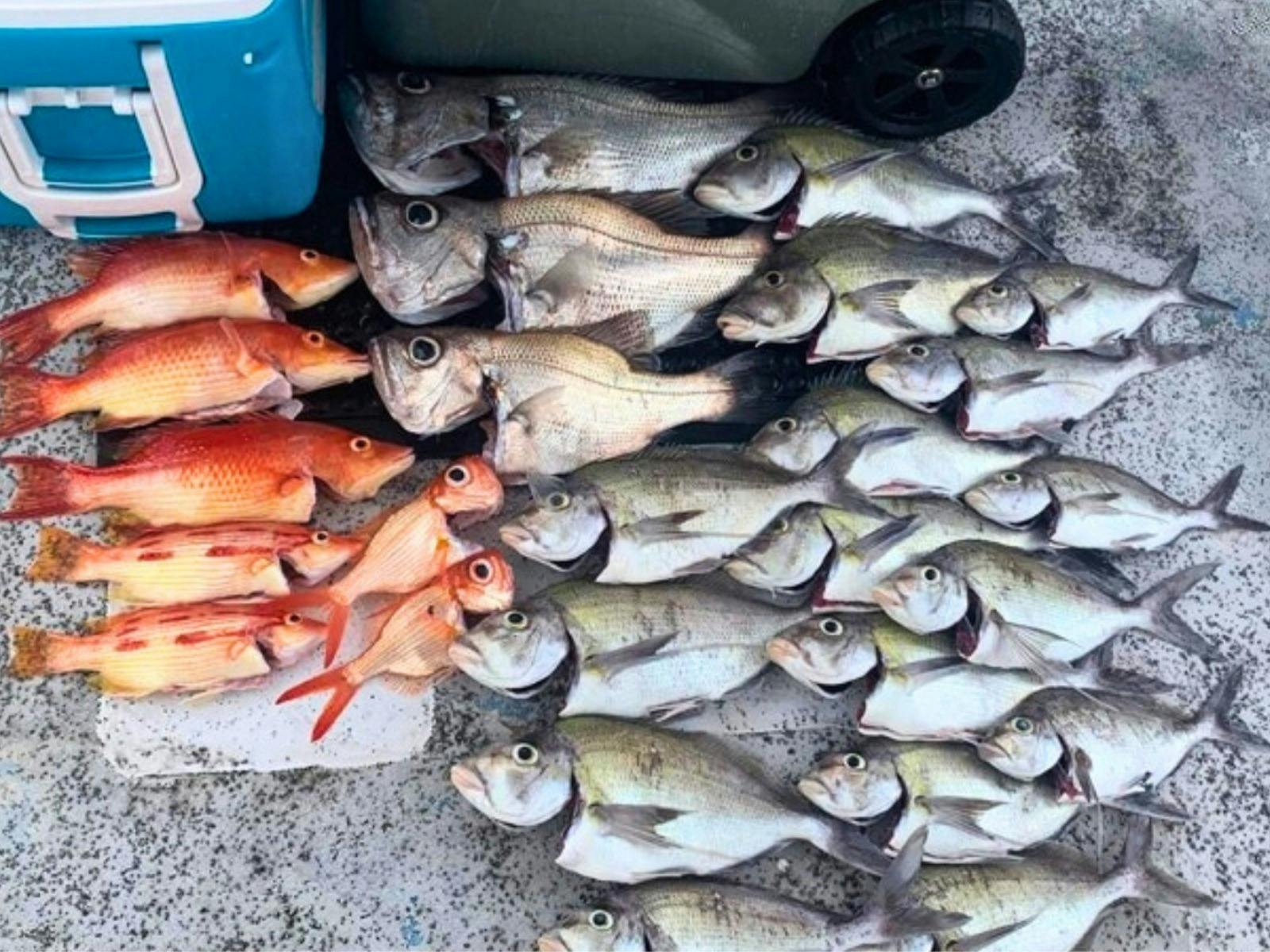 Fishing on Sydney Harbour