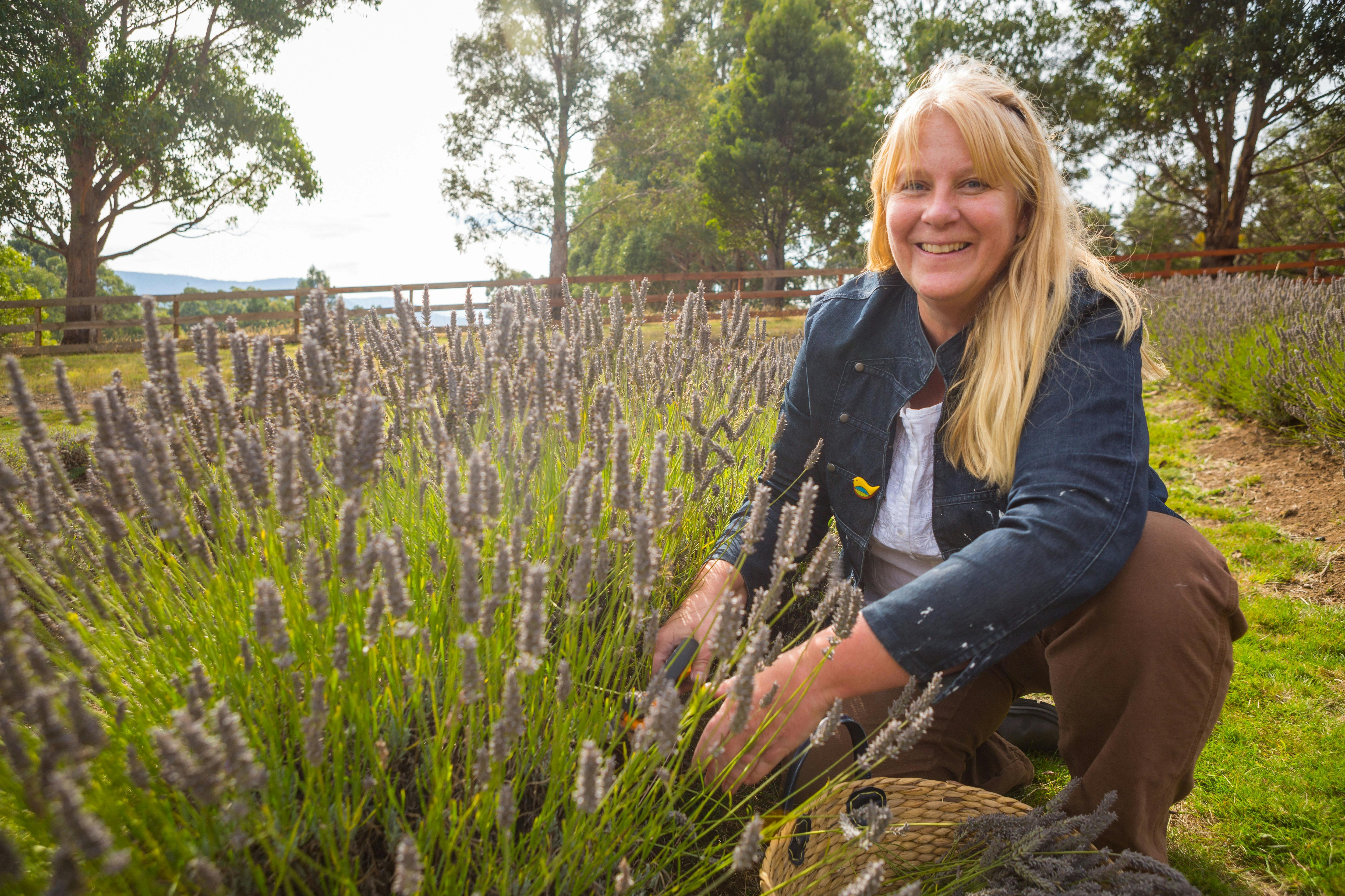 Llisa in the lavender field at Campo de Flori
