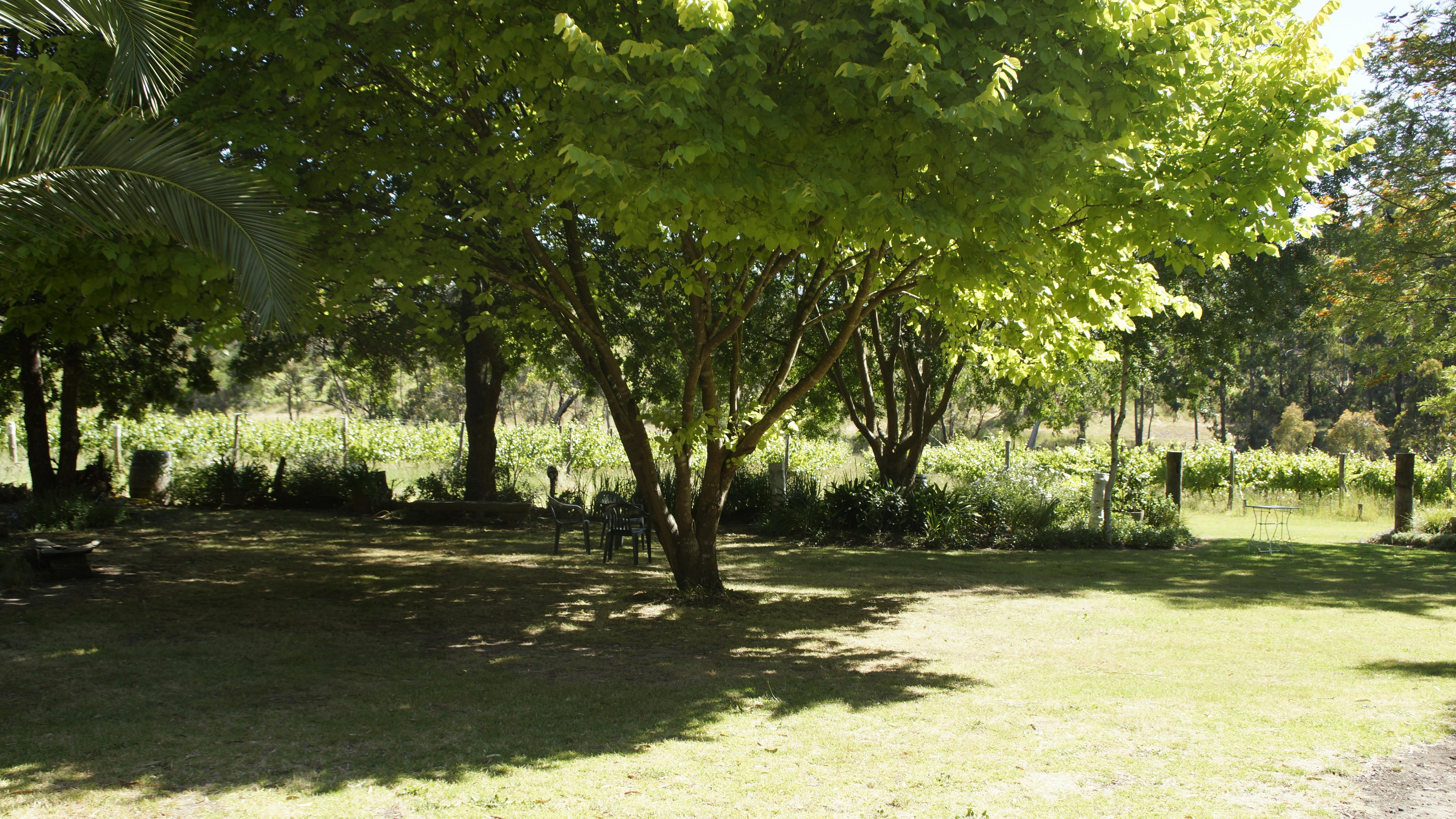 Adelaide winery, south australian winery, Fleurieu cellar door, Adelaide Hills Cellar door, Gallery,