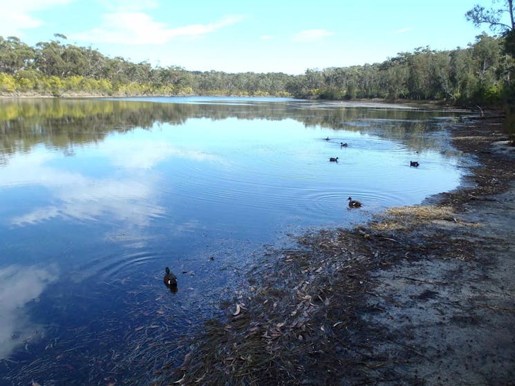 Conjola National Park
