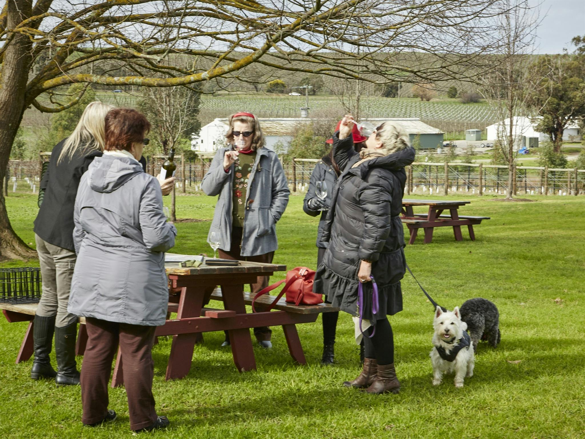 Gourmet Pawprints - Dog Friendly Tours