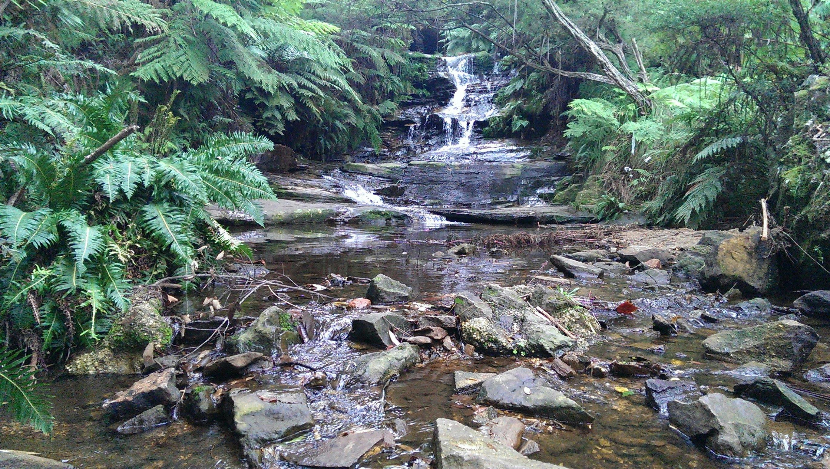 Peace and serenity
