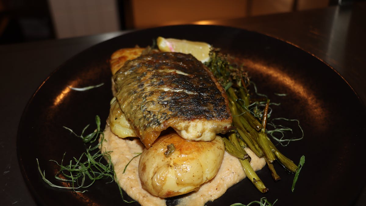Pan seared Barra served with cauli puree, garlic mash potato's charred broccolini, and lemon butter Pan seared Barra served with cauli puree, garlic mash potato's charred broccolini, and lemon butter