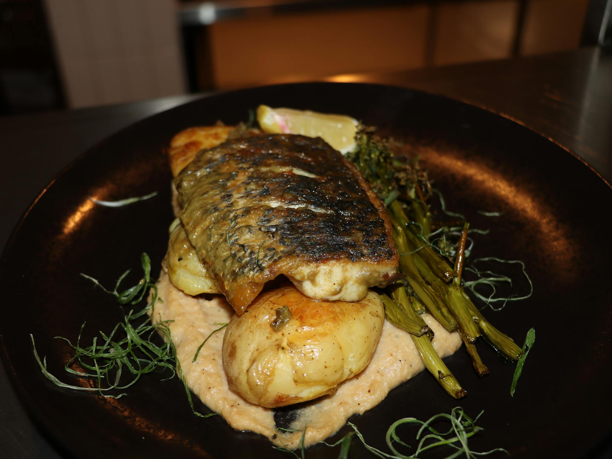 Pan seared Barra served with cauli puree, garlic mash potato's charred broccolini, and lemon butter Pan seared Barra served with cauli puree, garlic mash potato's charred broccolini, and lemon butter