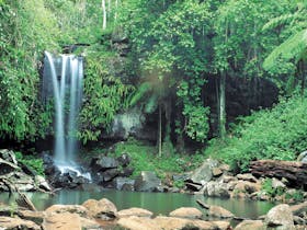 Tamborine National Park