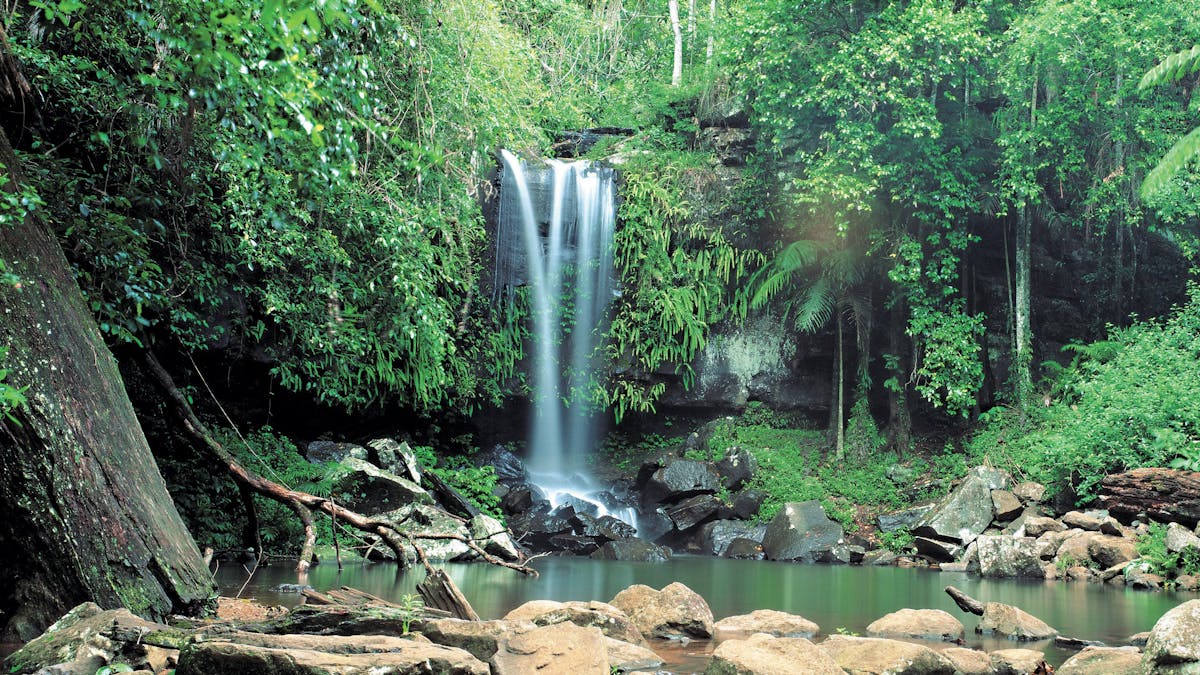 Waterfalls cascading into pool, Tamborine National Park