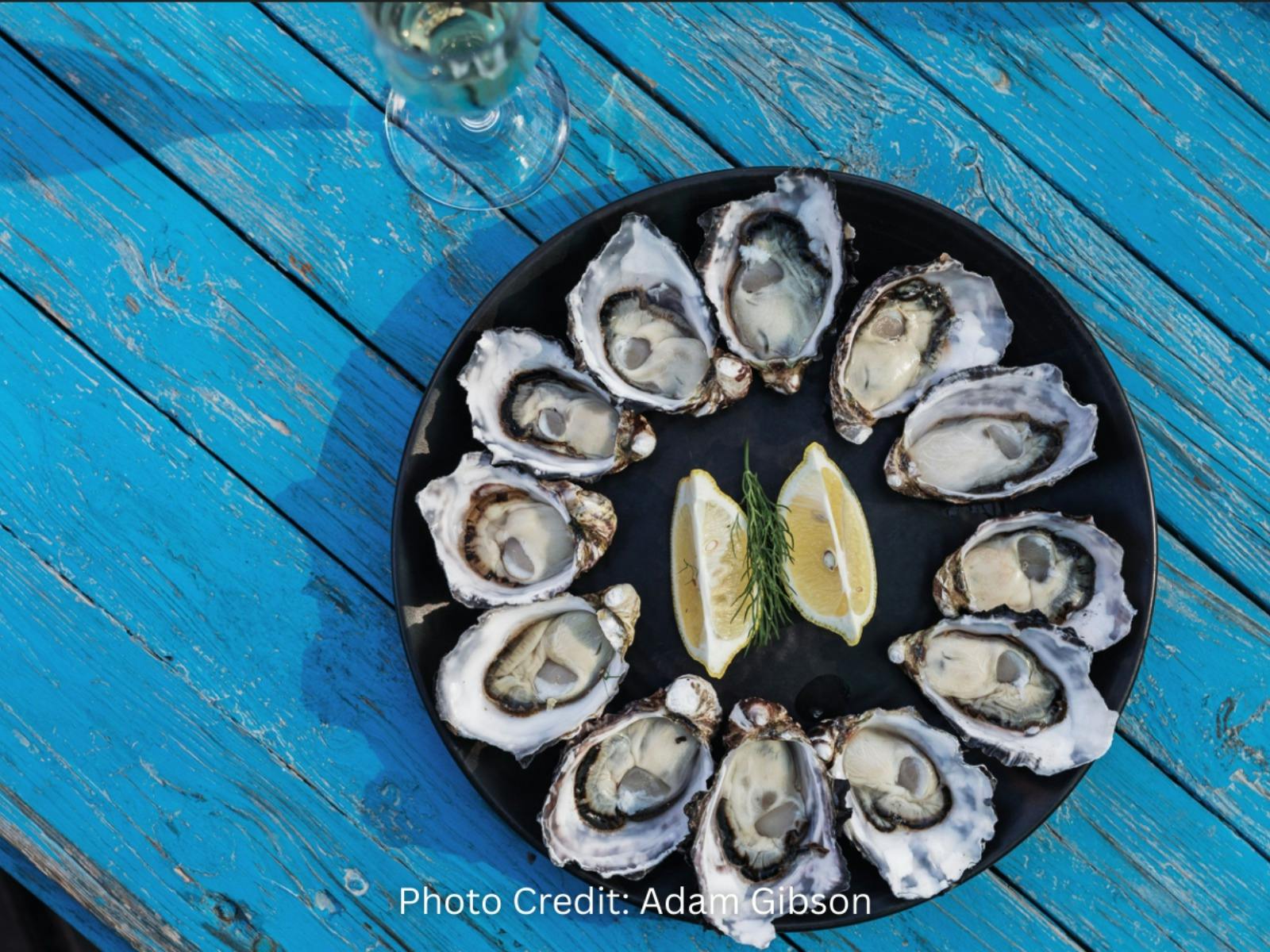 Bruny Oysters