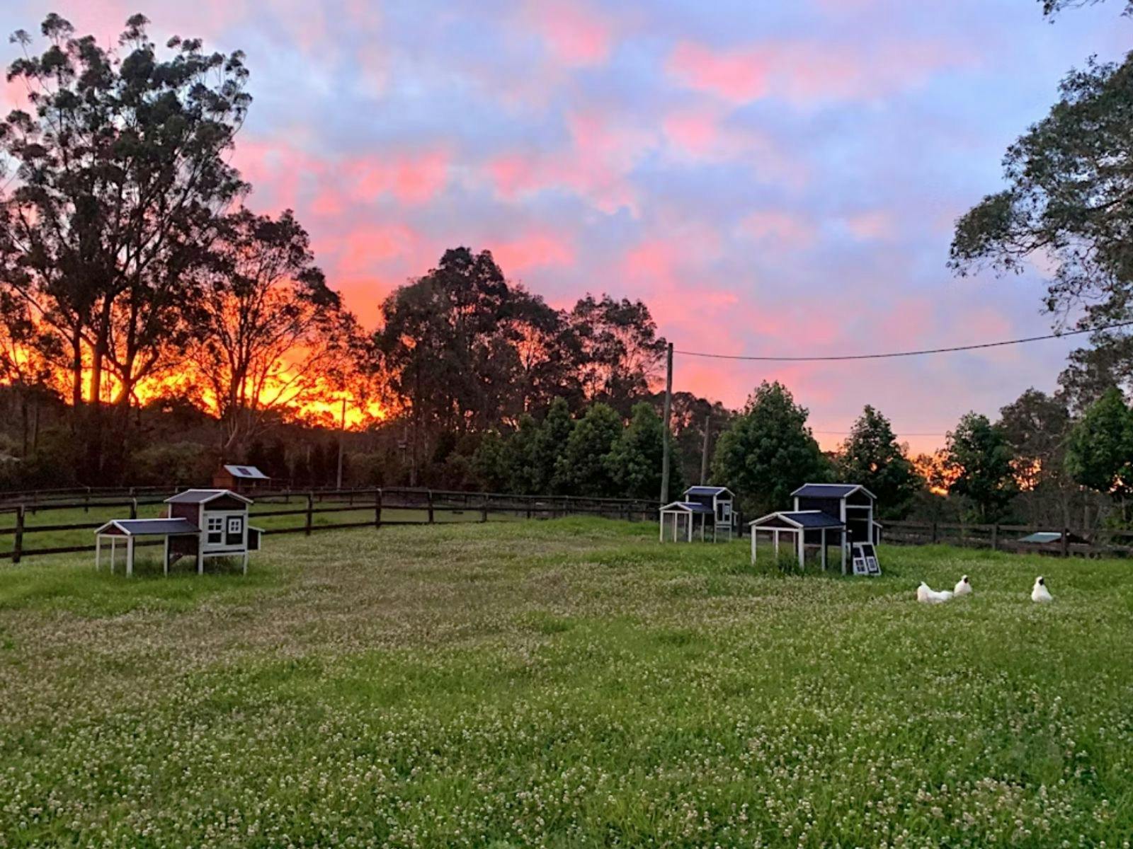 Farm sunrise with a sky painted in shades of pink, orange and gold