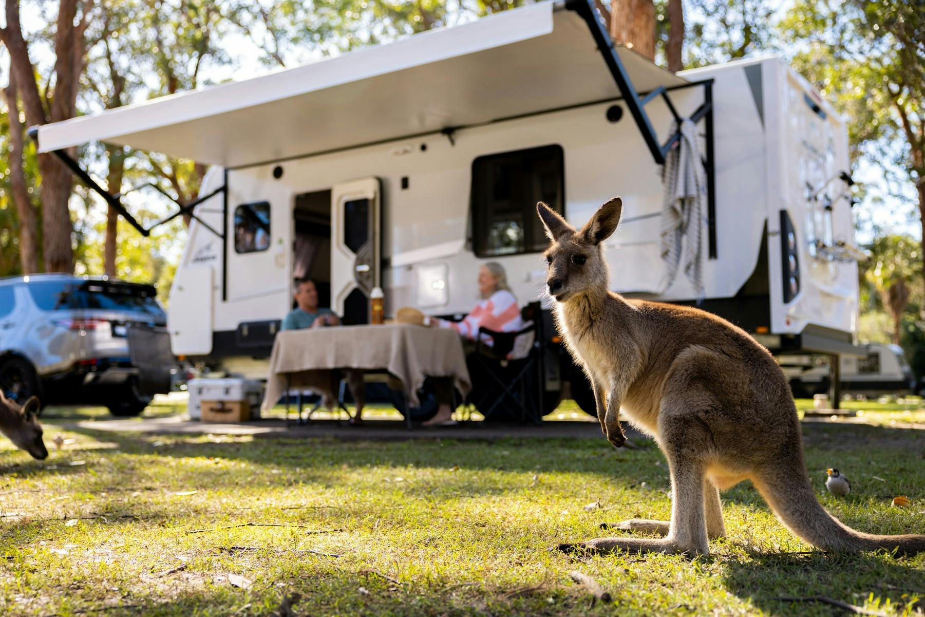 NRMA Dubbo