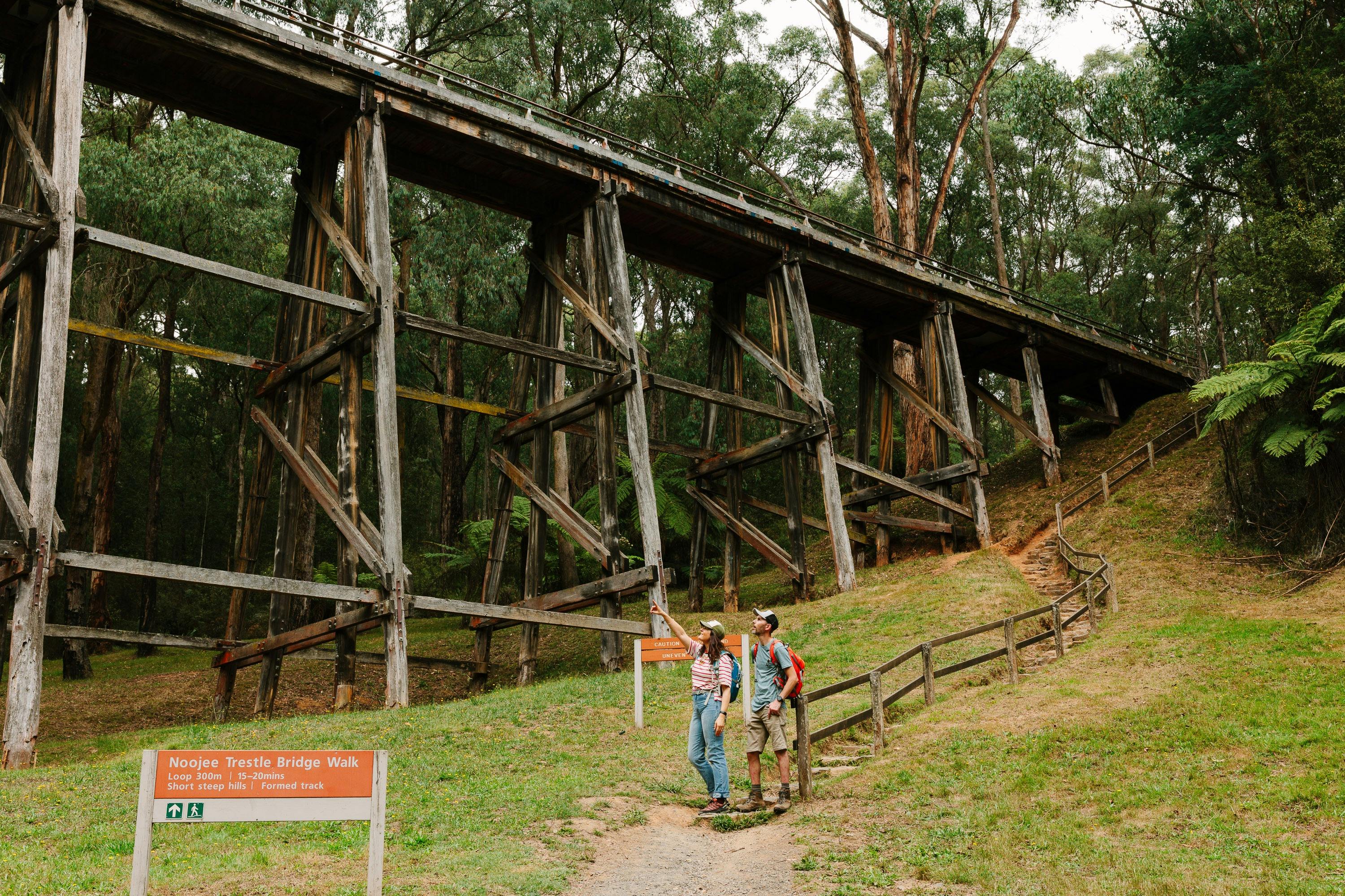 Enjoy a walk and picnic at Noojee Trestle Bridge