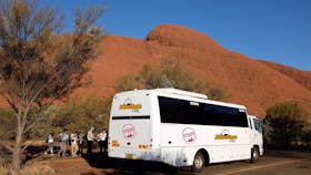 Travel in comfortable forward facing vehicles