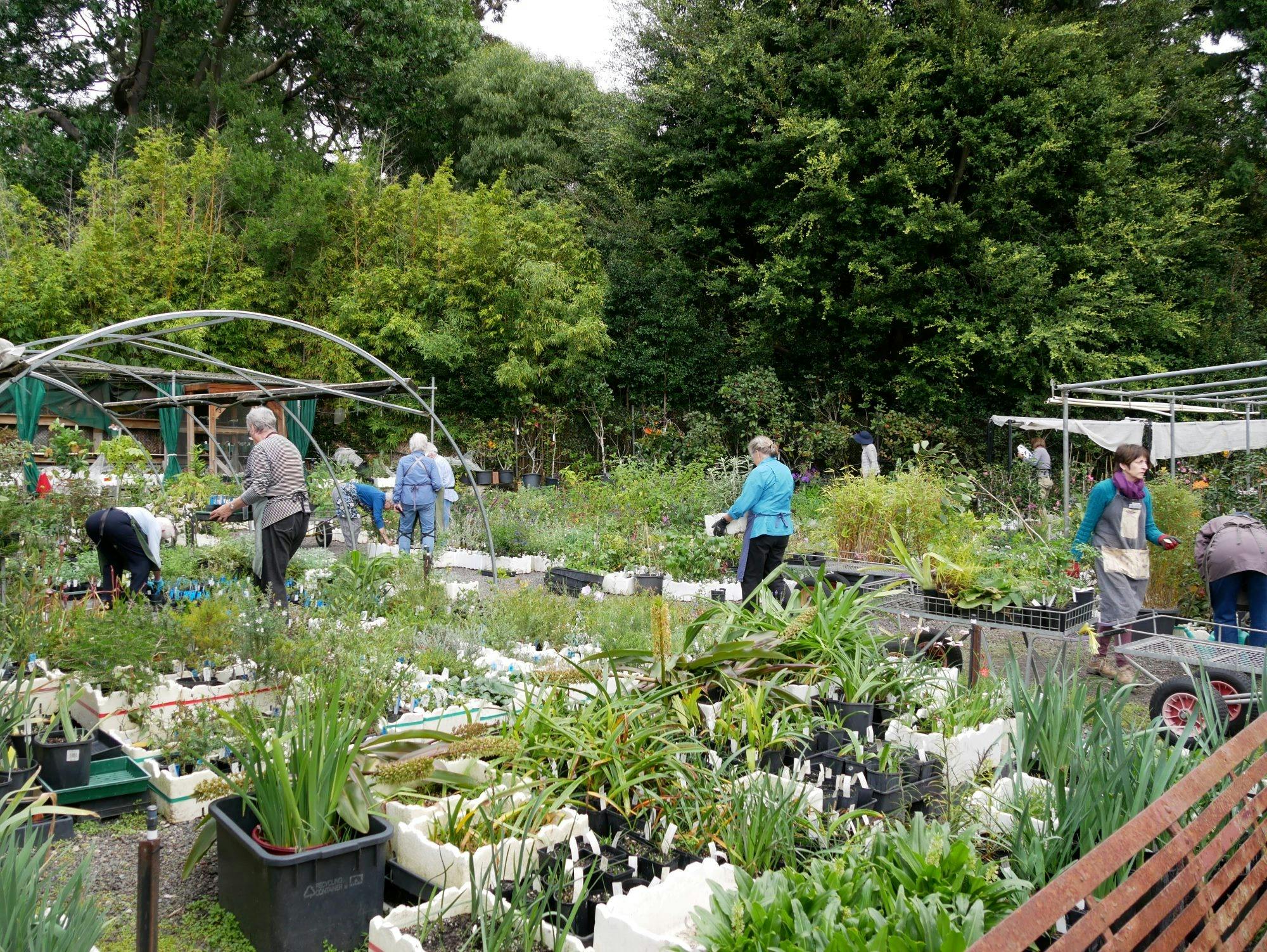 Melbourne Friends Plant Sale