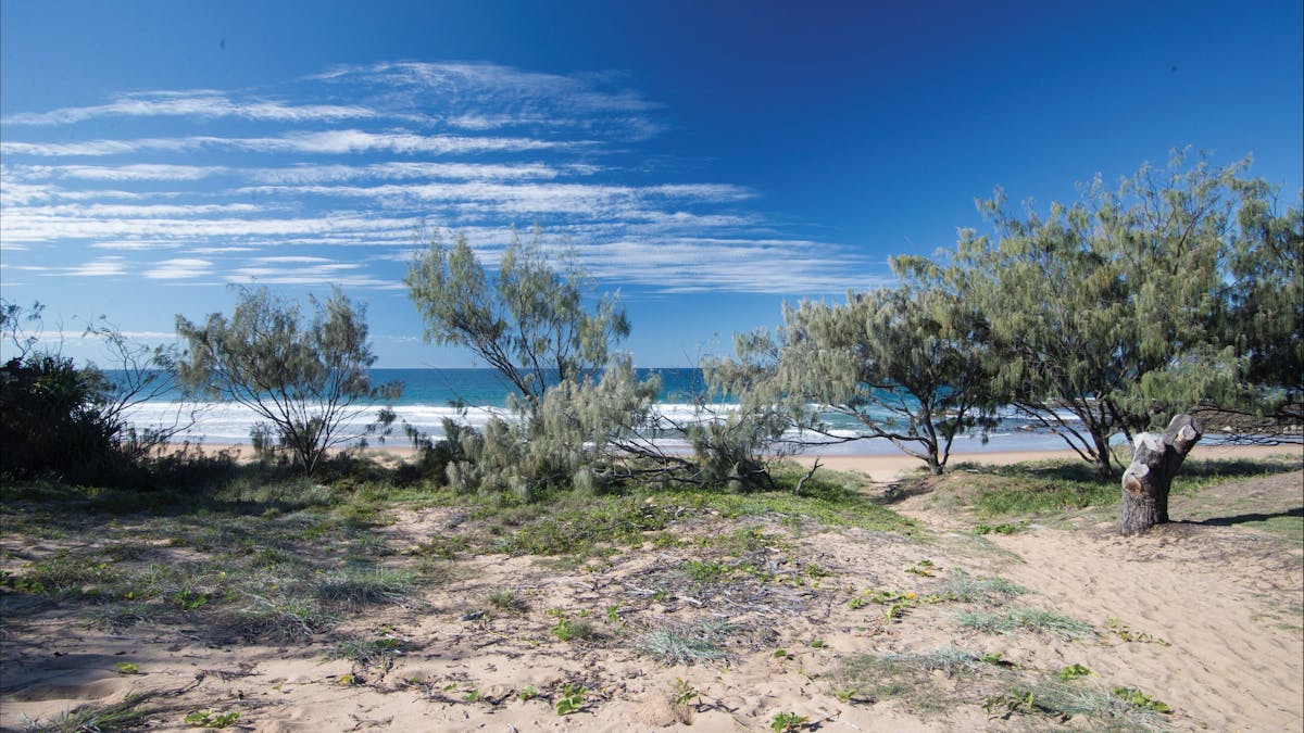 COastal camping area near beach, Deepwater National Park