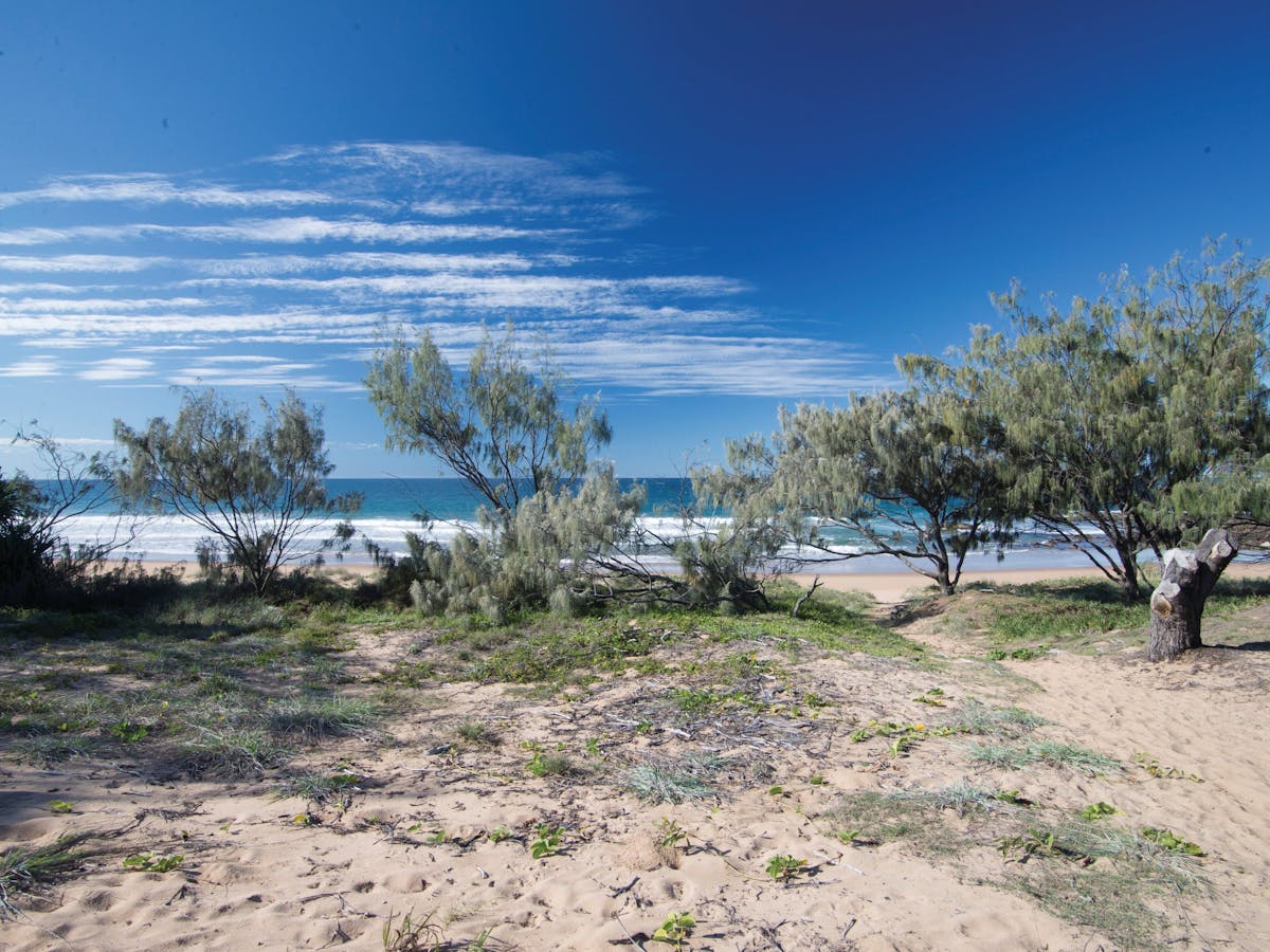 Deepwater National Park camping Queensland