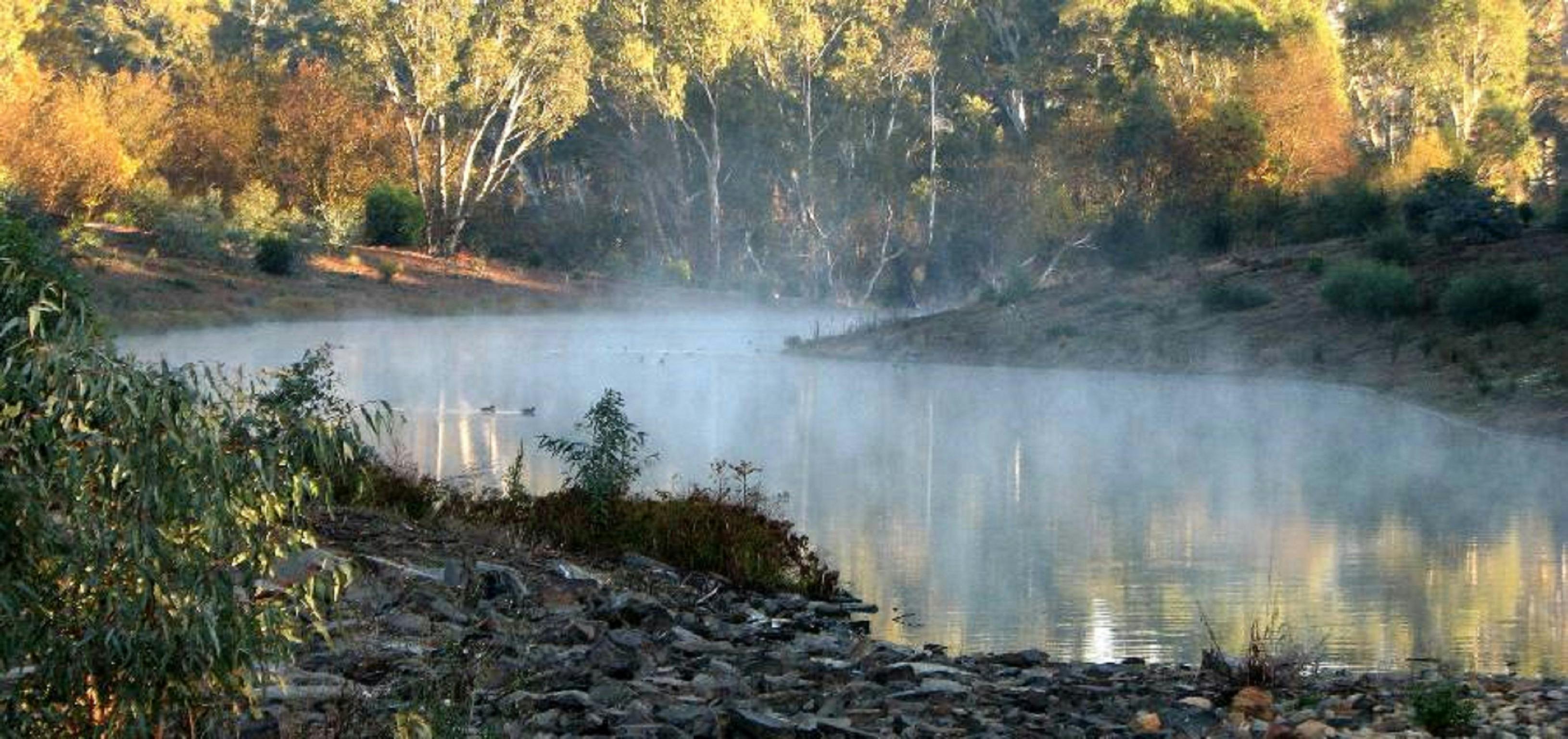 Gleeson Wetlands