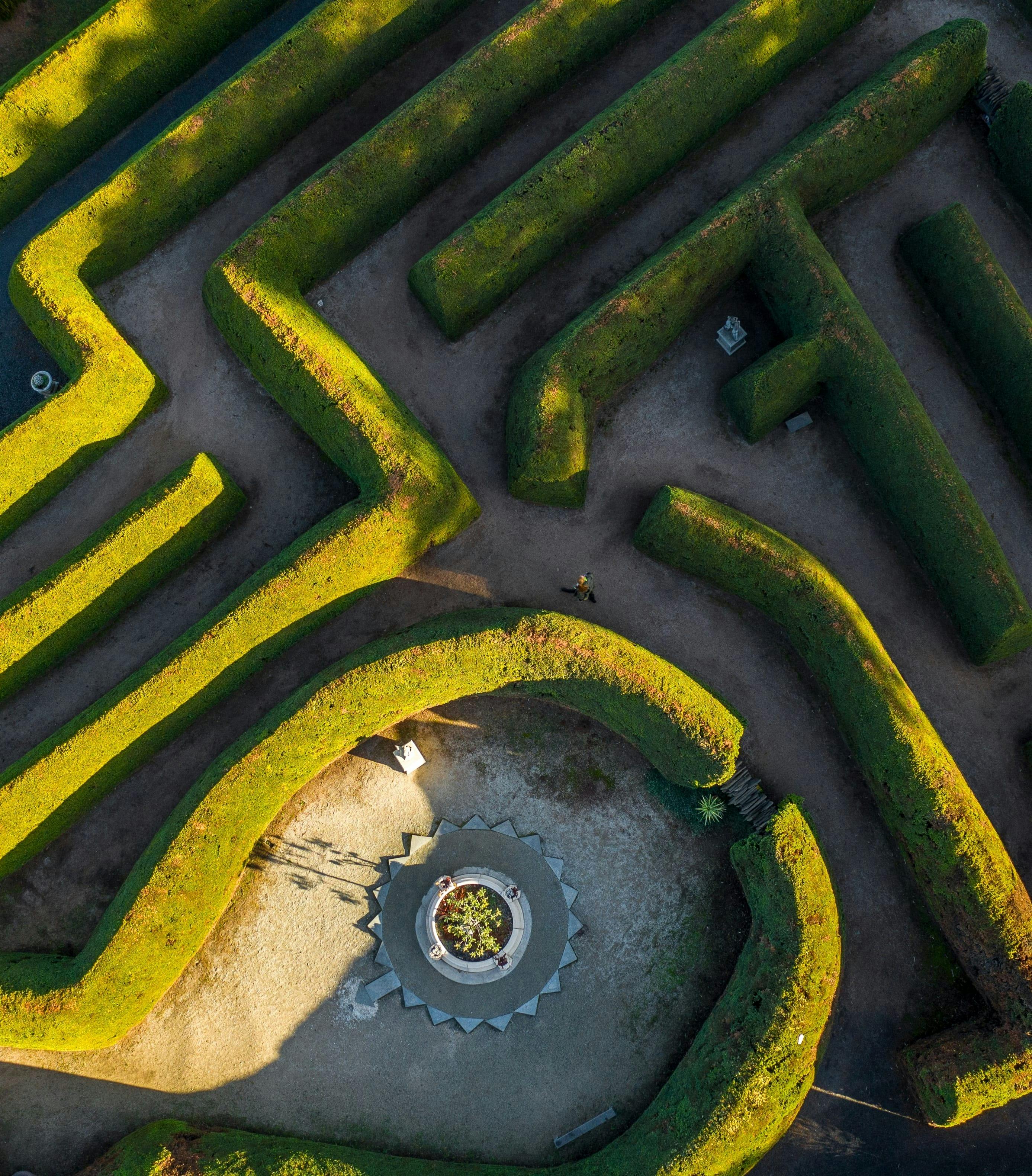 Aerial view of hedge maze