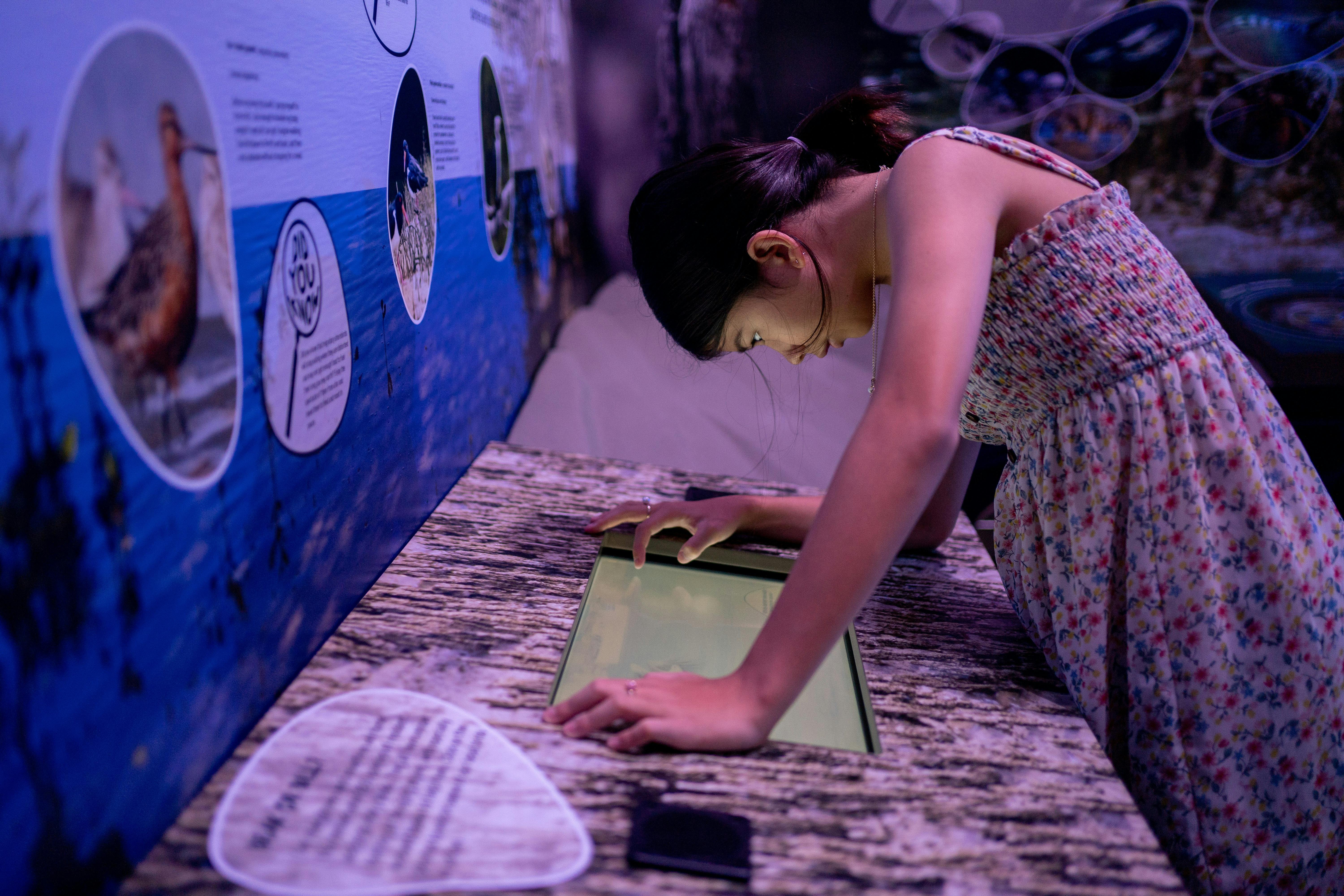 Marine Centre Hastings Point