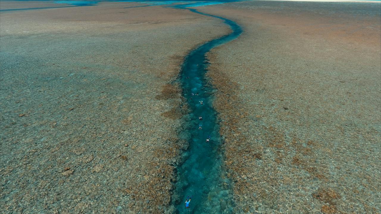 Rowley Shoals