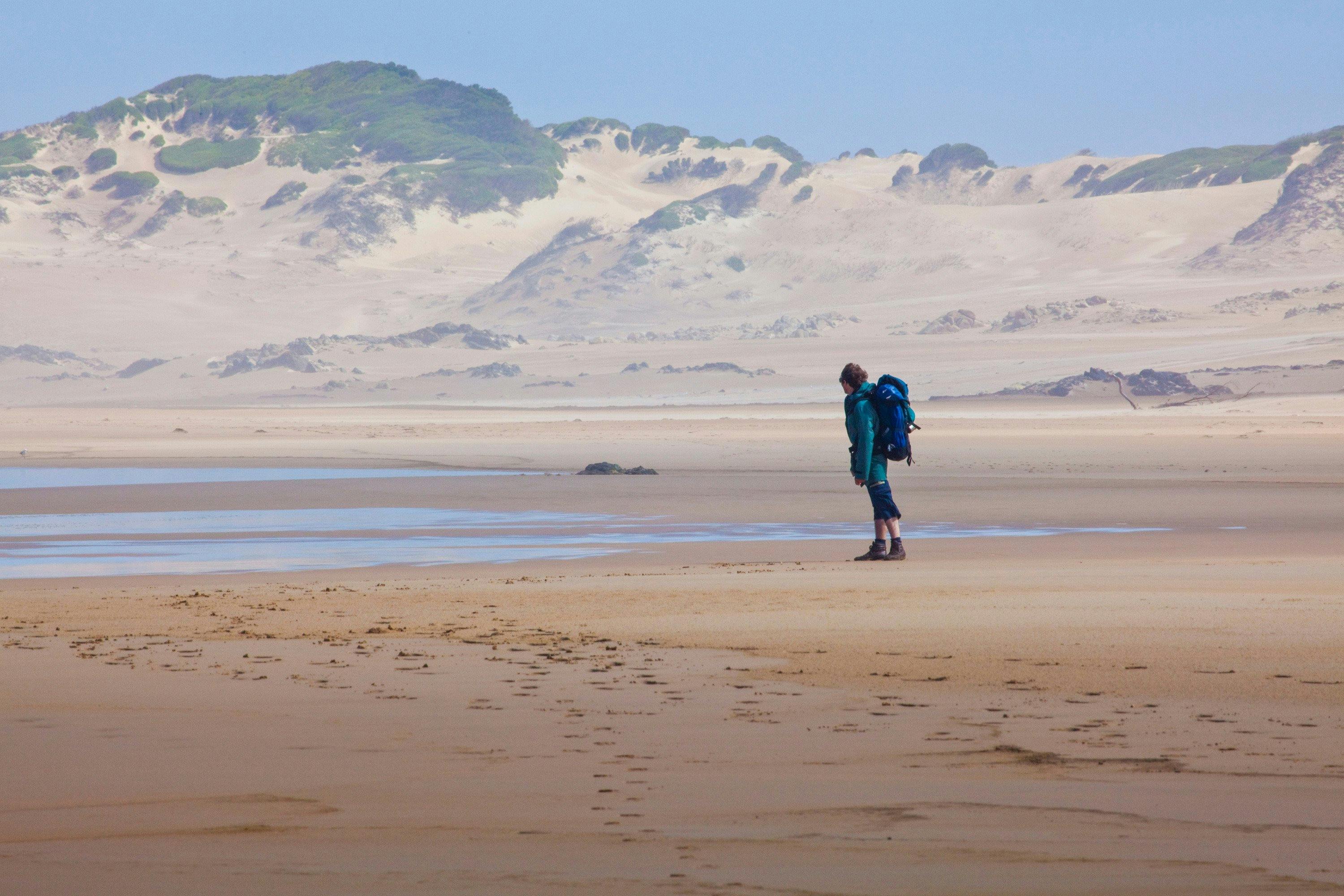 Dunefields Tarkine Trails