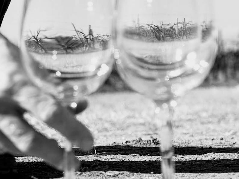 Image of the event 'First Release Wine Week'