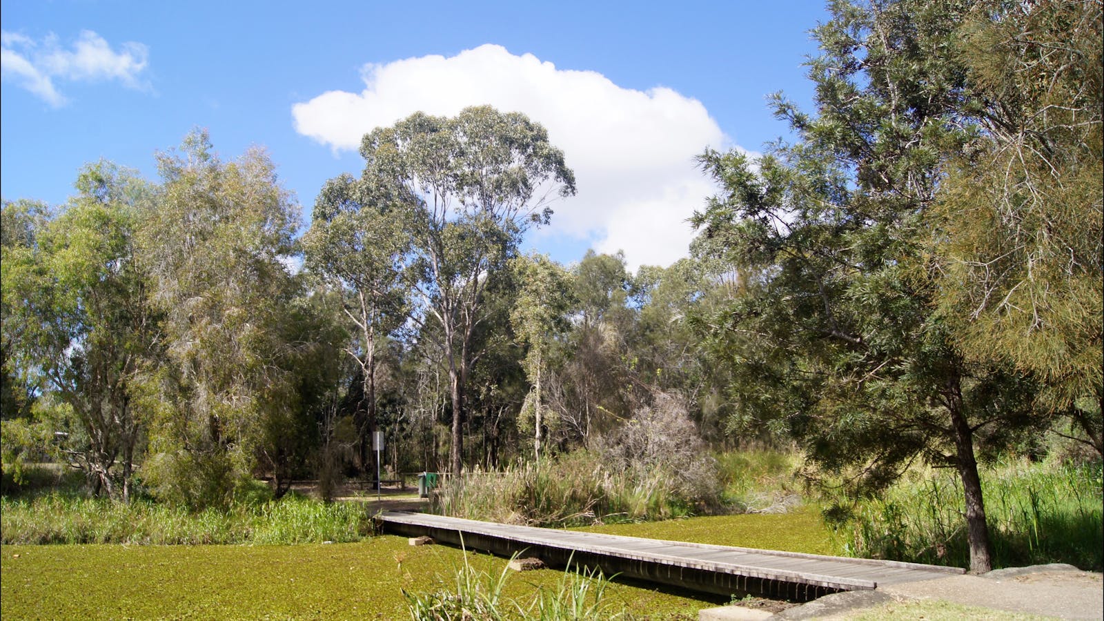 Baldwin Swamp Environmental Park
