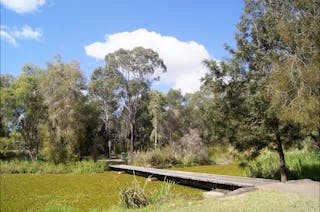 Baldwin Swamp Environmental Park