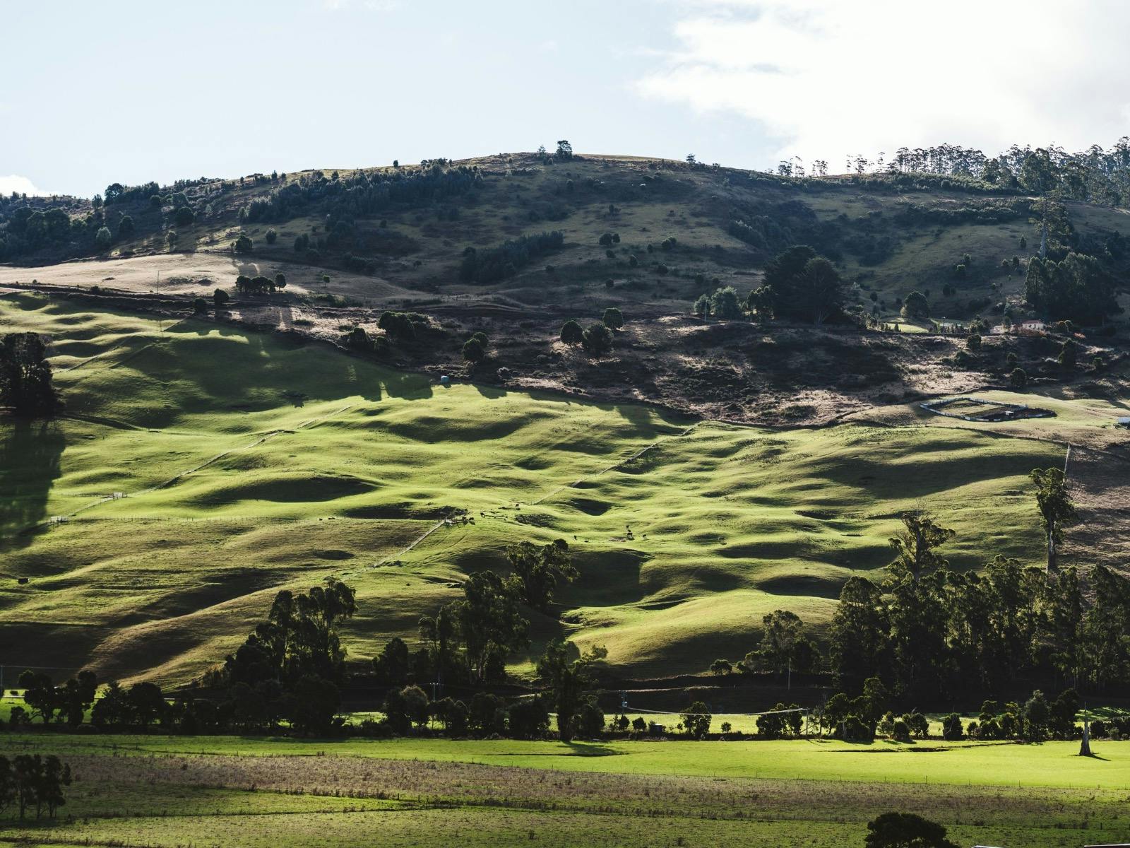 Gunns Plains