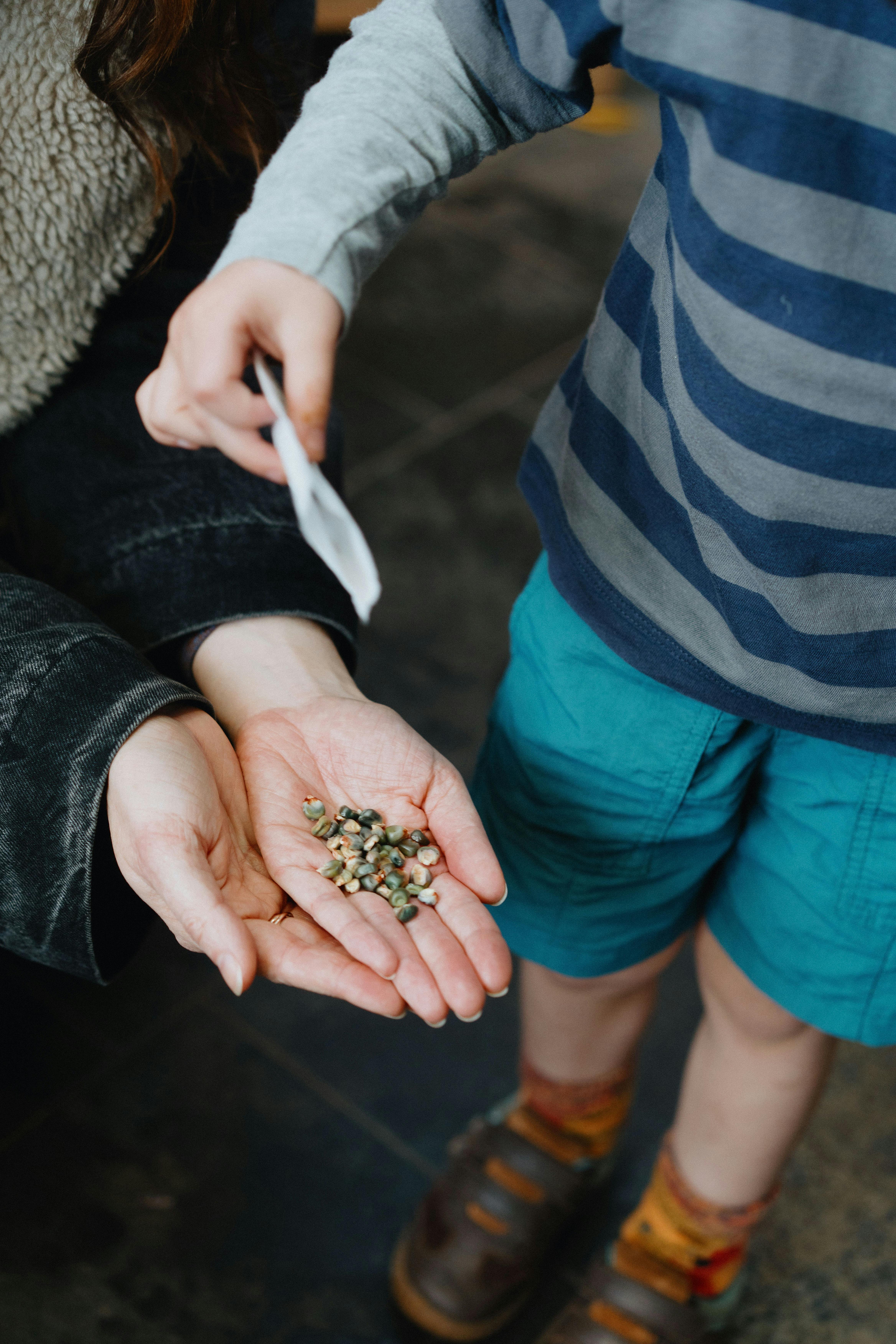 seeds