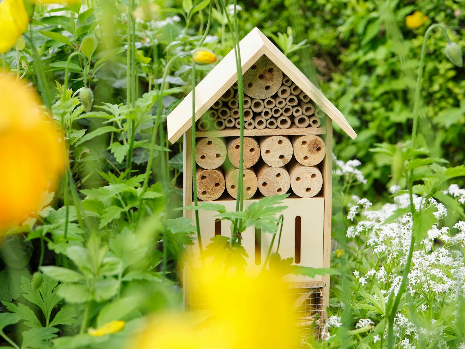 Home-made house-shaped beehive in garden. Home-made house-shaped beehive in garden.