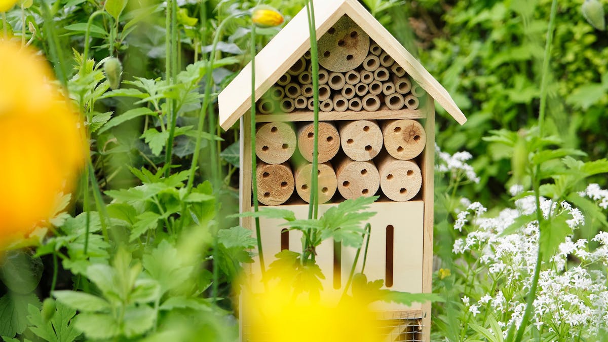 Home-made house-shaped beehive in garden.