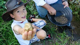 Yackandandah Gold Panning