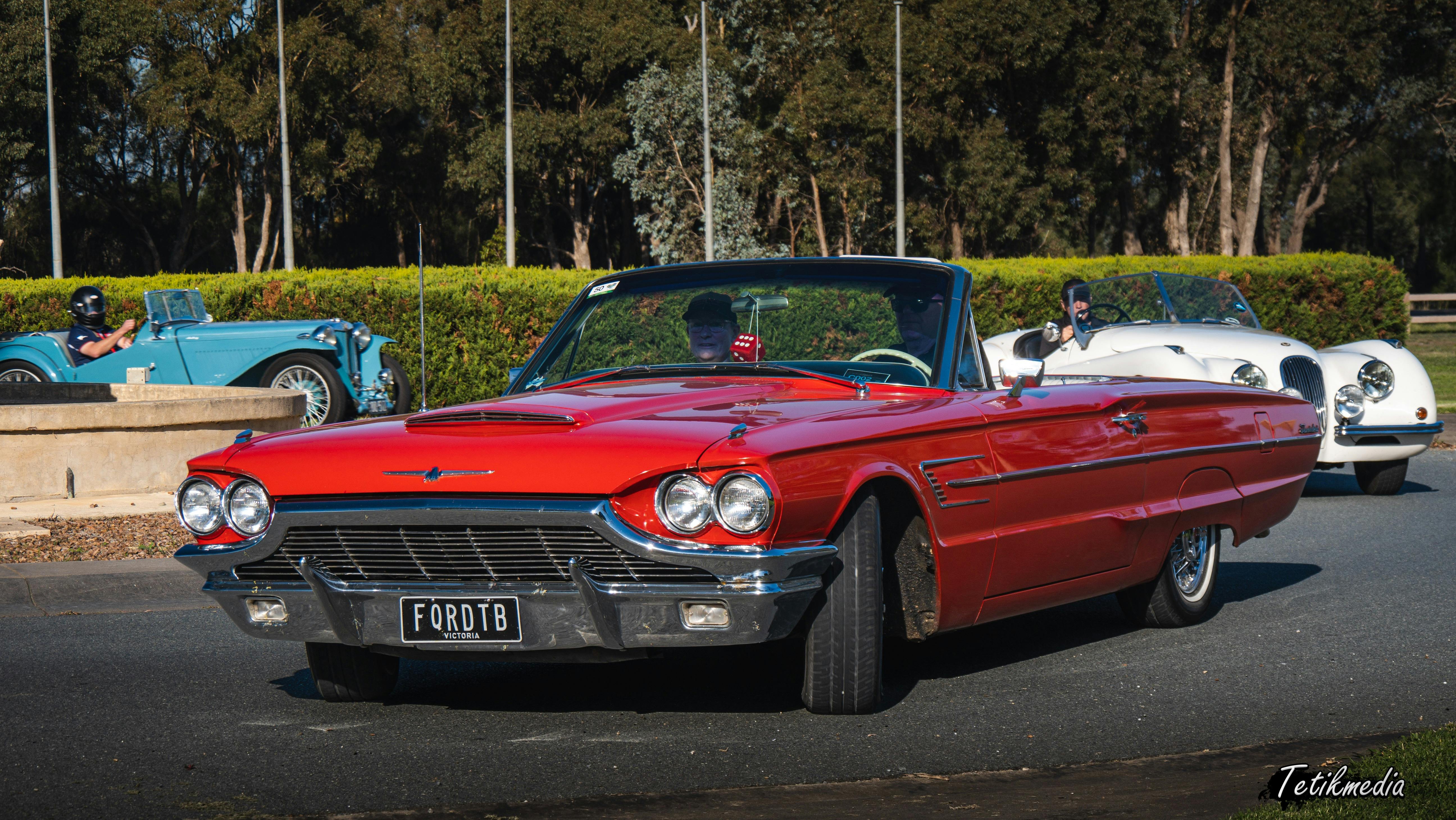 Motoring enthusiasts - this is for you