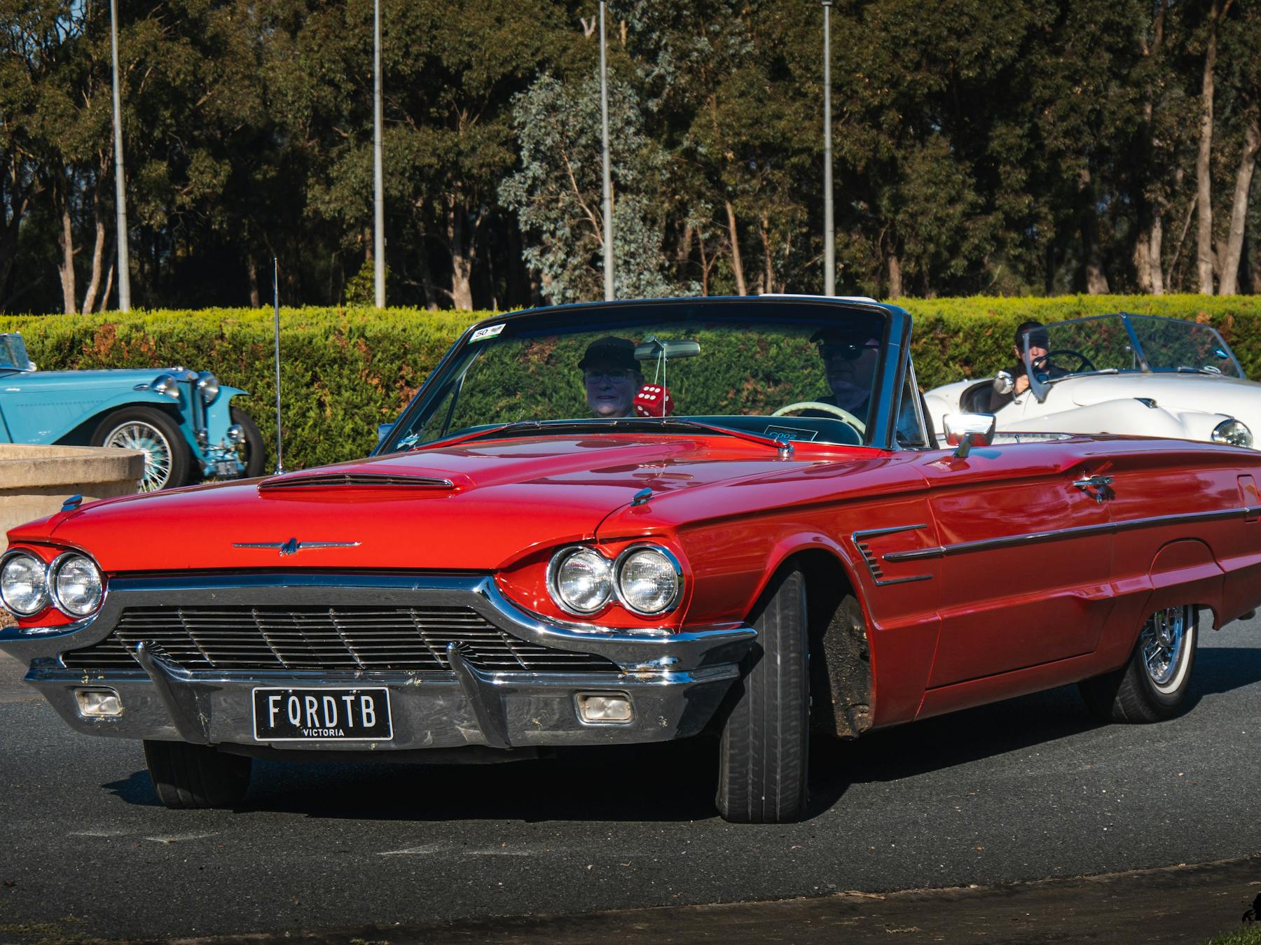 Motoring enthusiasts - this is for you