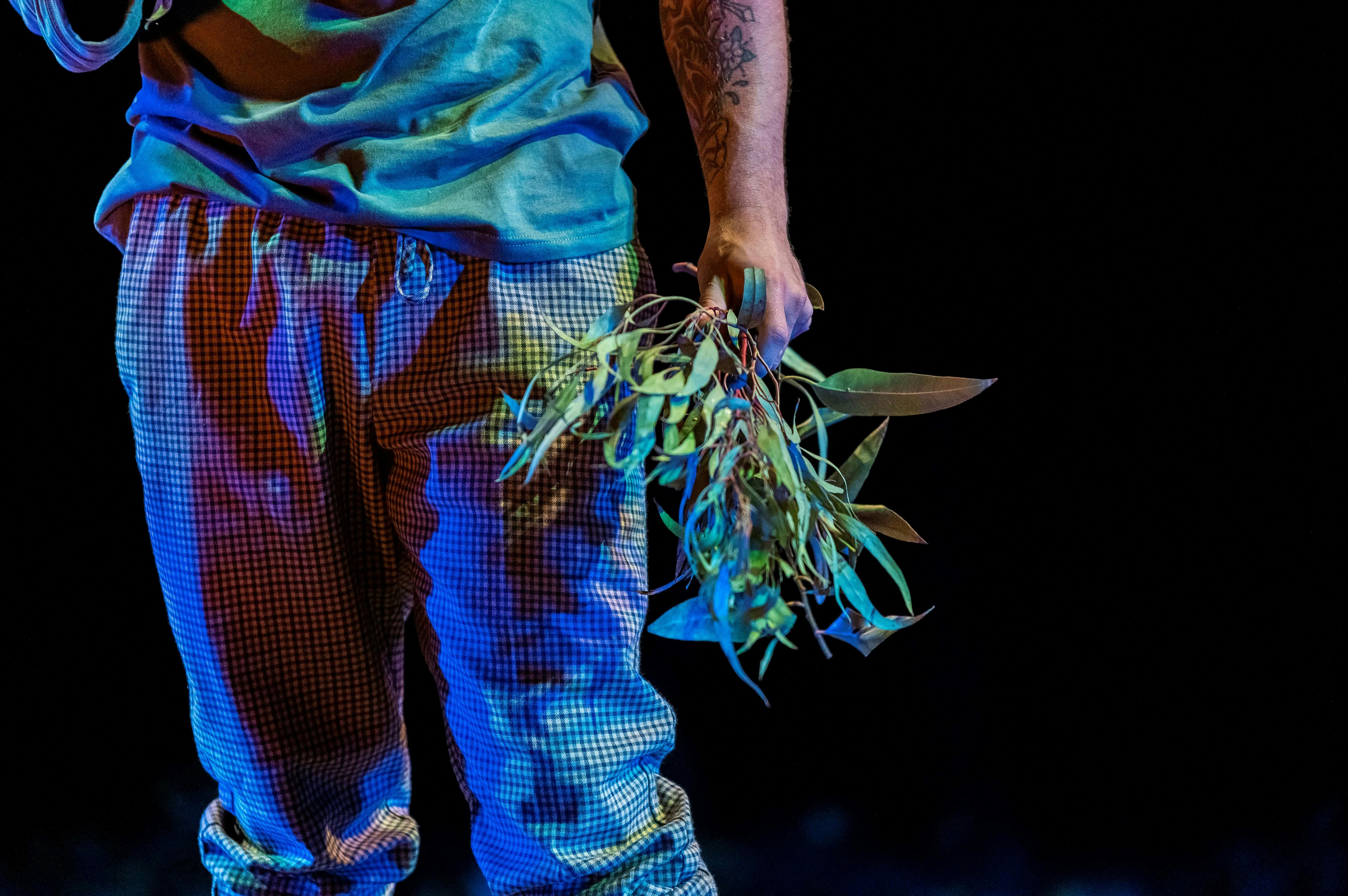 Torso and leaves
