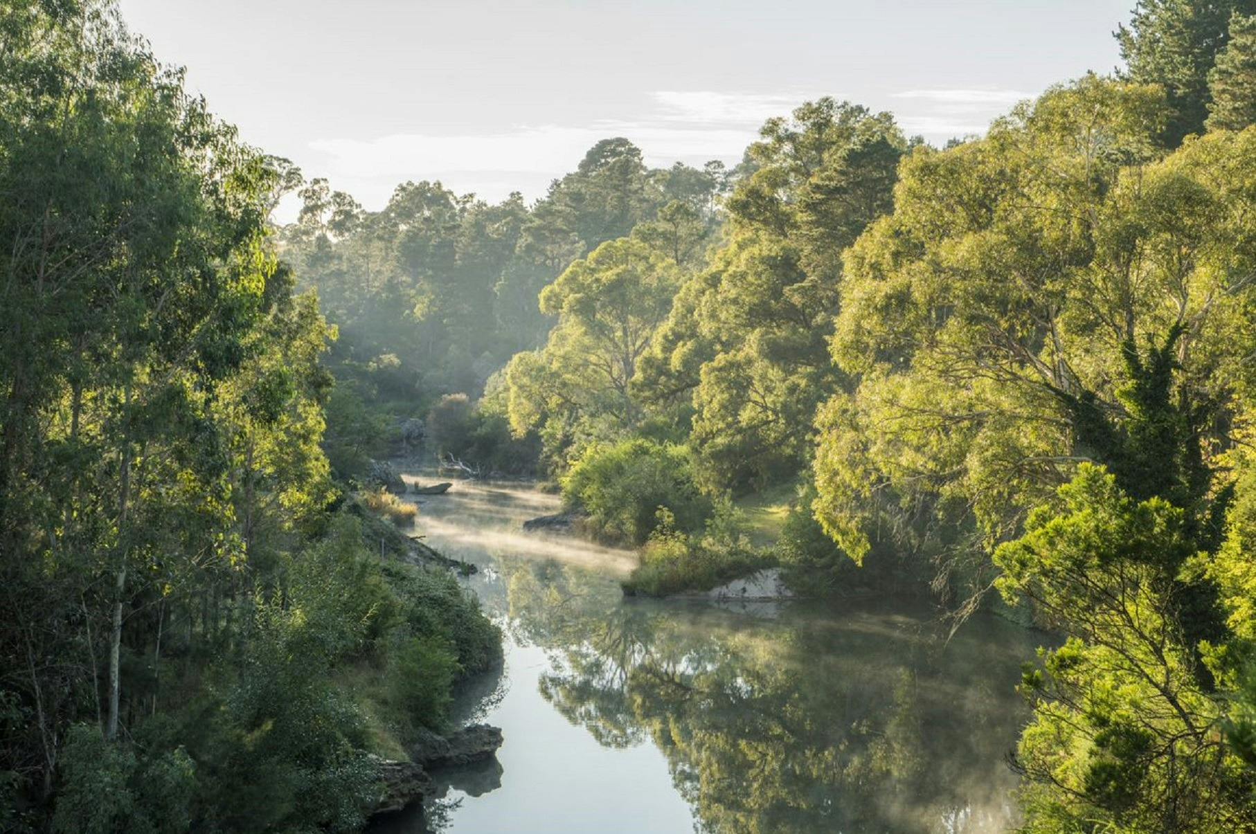 베리마(Berrima)의 윙카리비(Wingecarribee) 강 위로 빛나는 아침 햇살