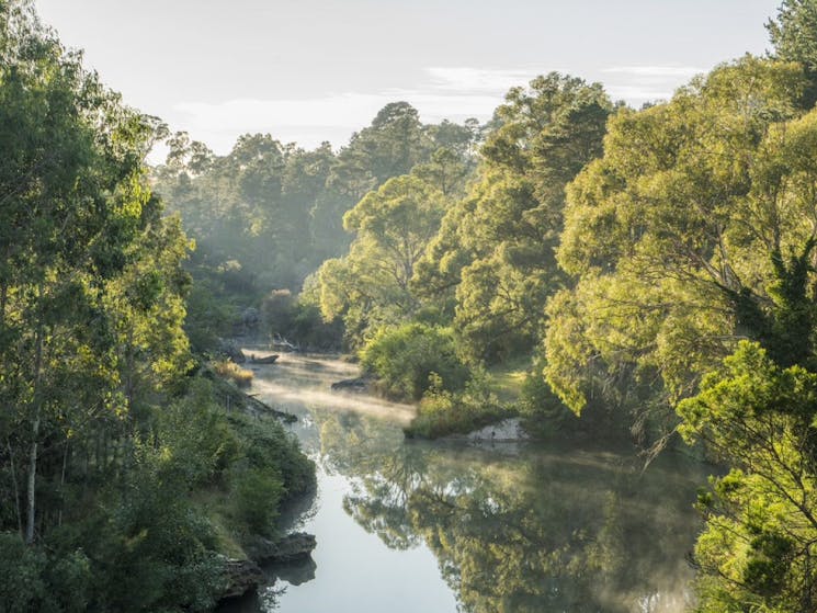 Morning sun shining over the Wingecarribee River in Berrima