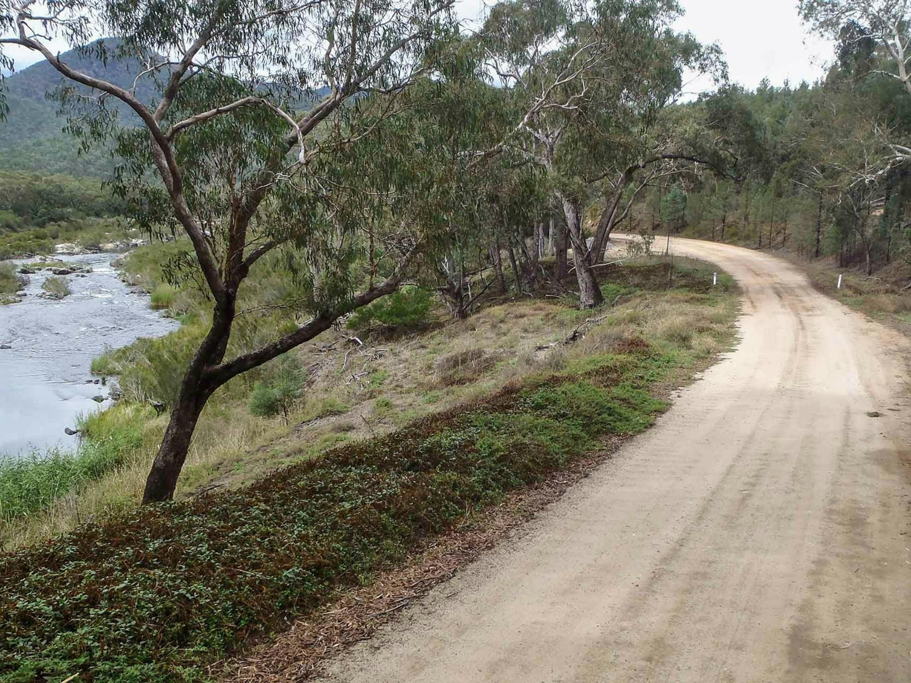 Lower Snowy drive, Kosciuszko National Park. Photo: Luke McLachlan