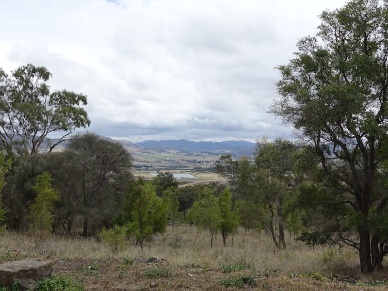 Brinktop Reserve 1