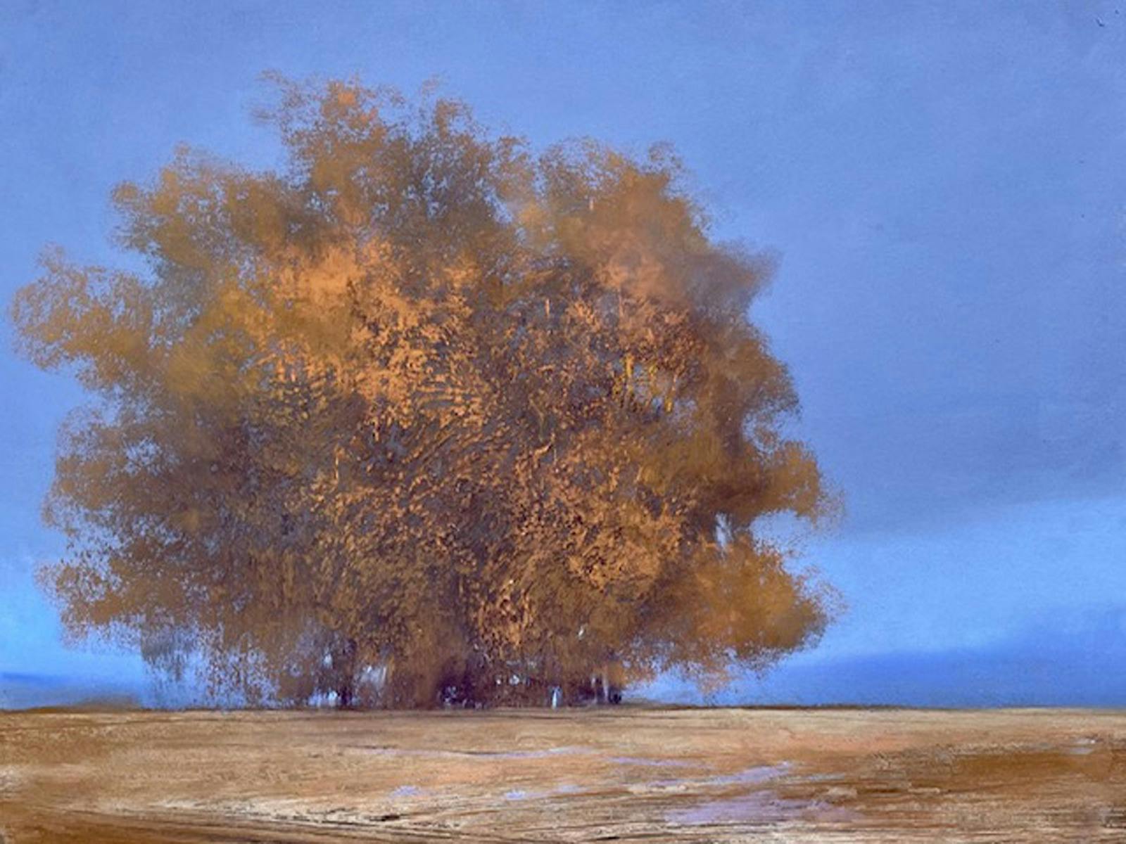 Quietlands by Fiona Kent at The Peisley St Gallery