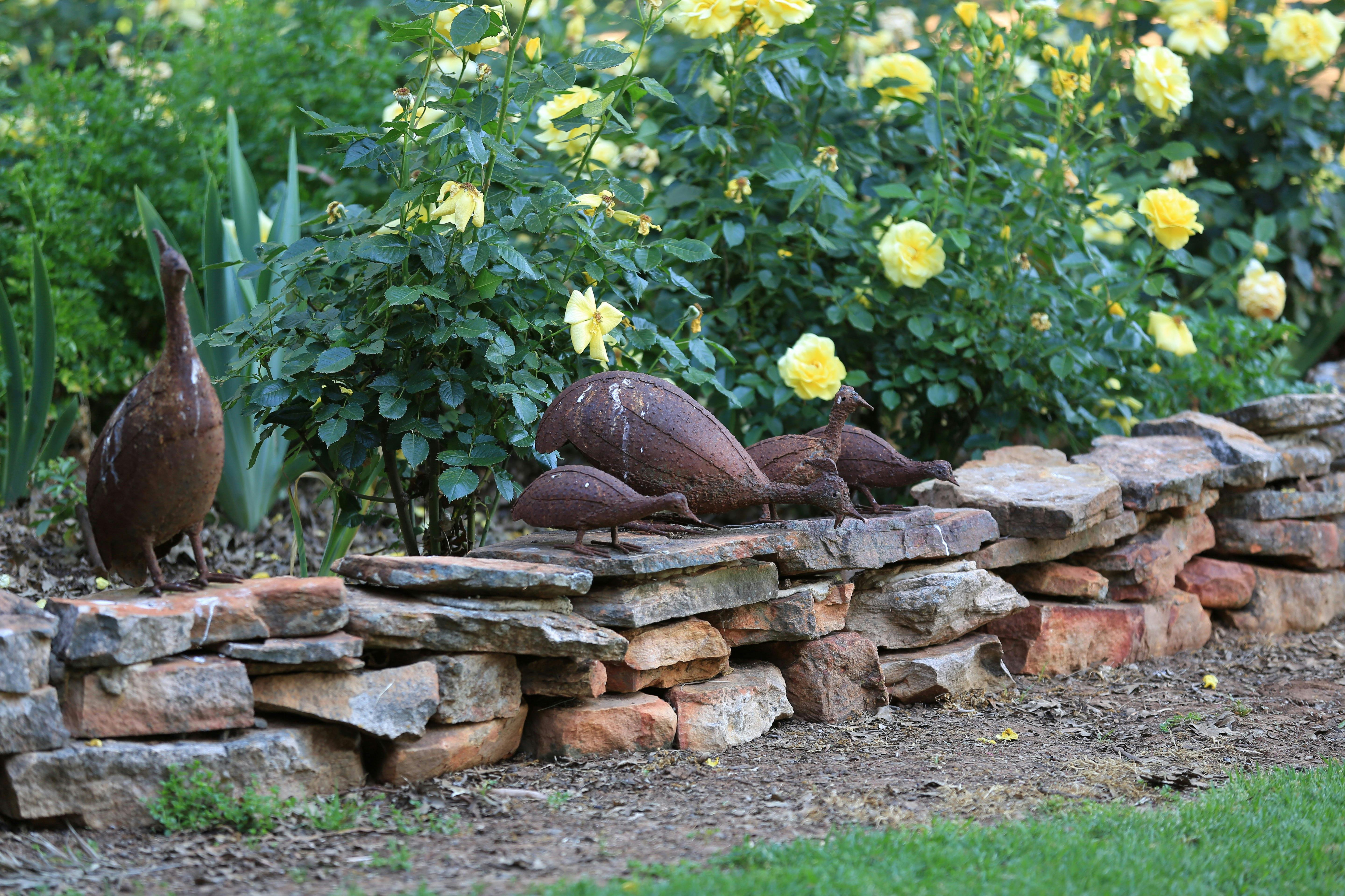 Griffith Spring Fest - Open Gardens