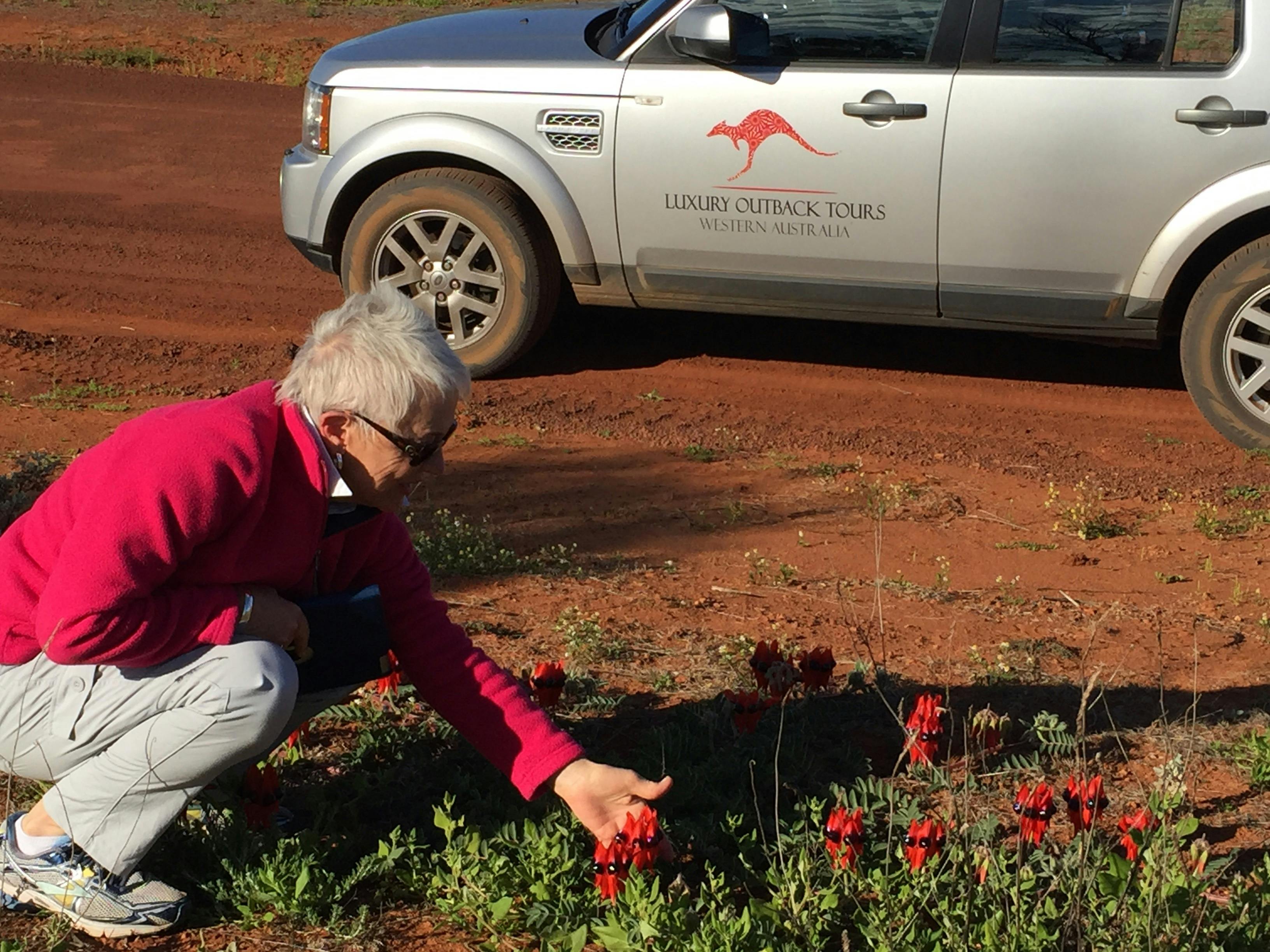 Luxury Outback Tours, Perth, Western Australia