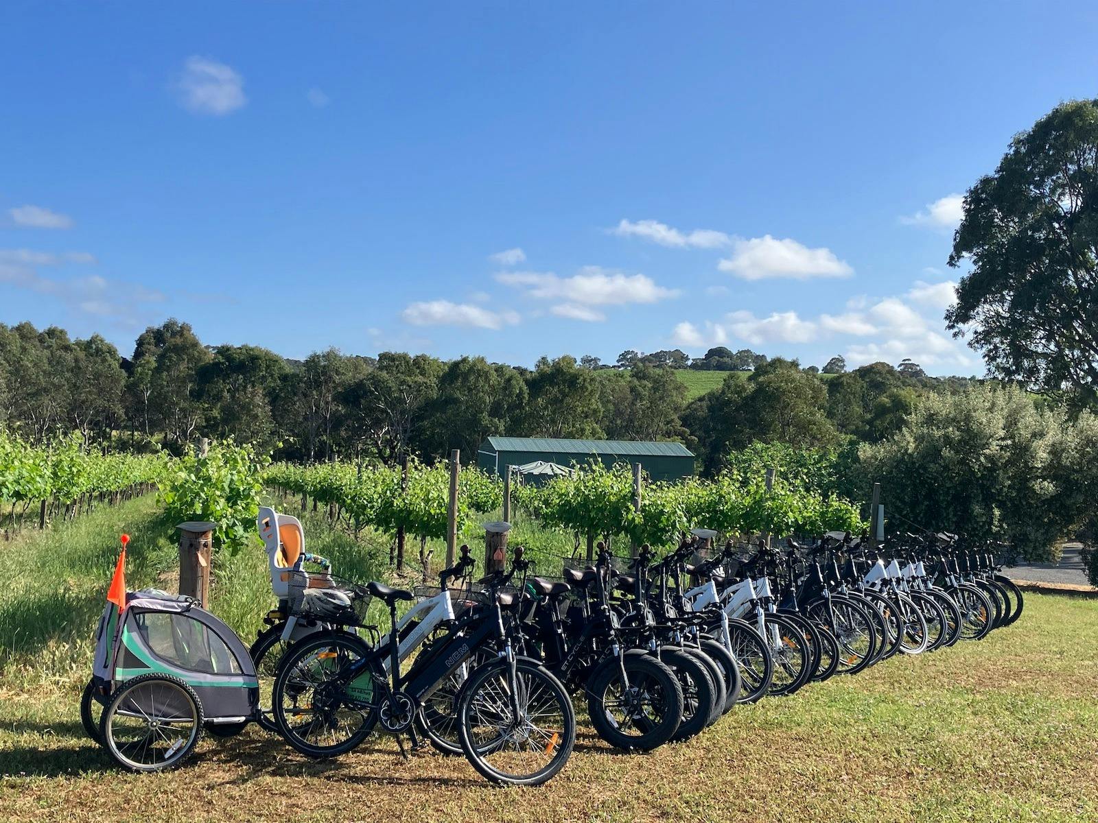 row of ebikes at visitors centre